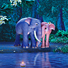 Jumbo With Friends
